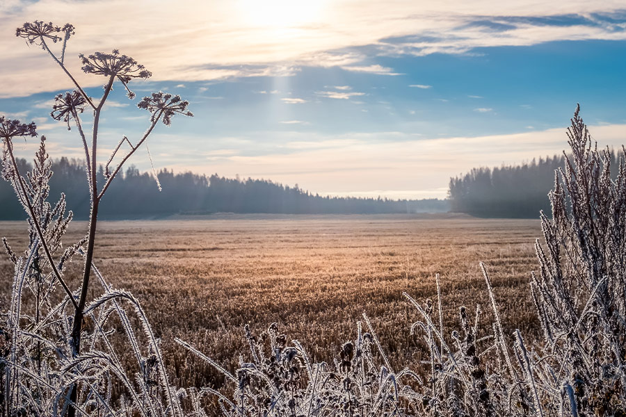 Scenic and clear landscape with sunrise frosty morning