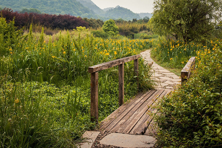Guizhou China scenery wooden bridge