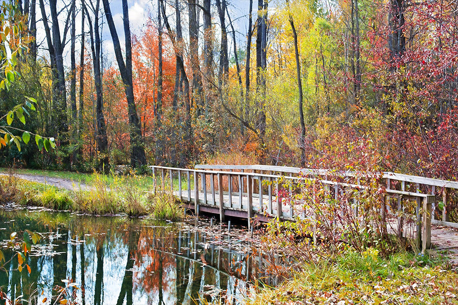 Autumn season wooden bridge