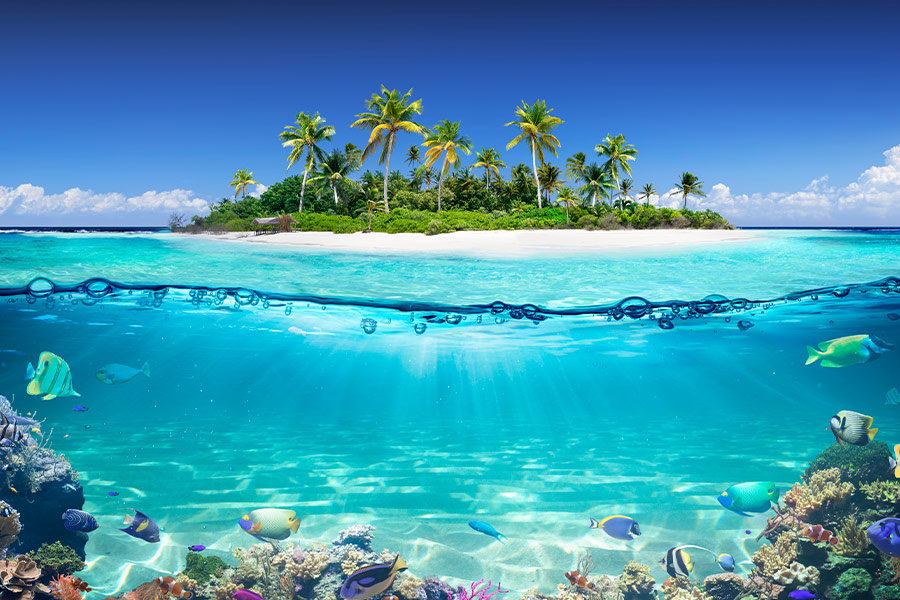 Split view of tropical island and coral reef
