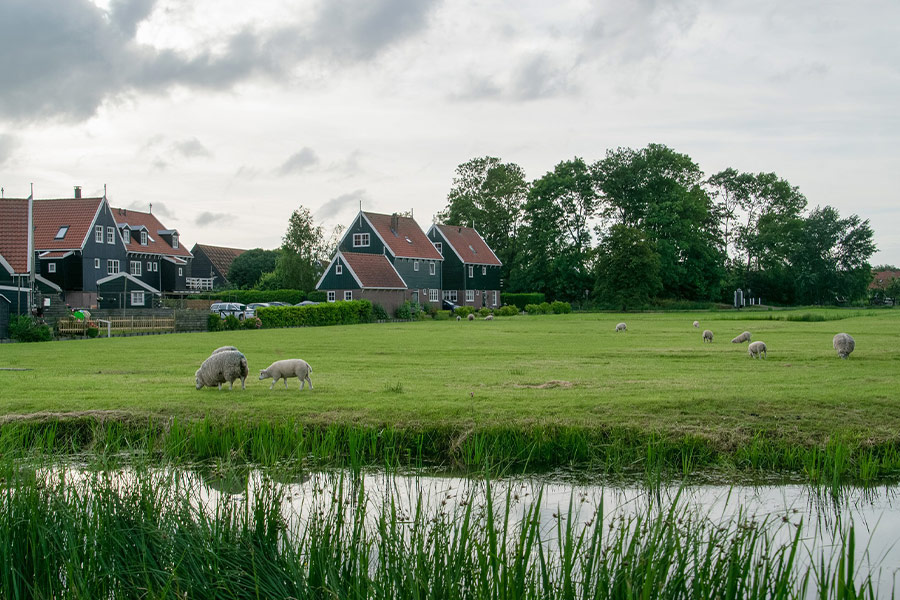 Countryside Netherlands