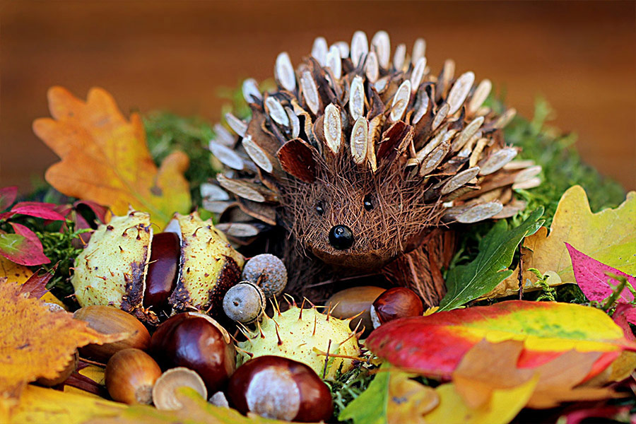 Autumn decoration Hedgehog