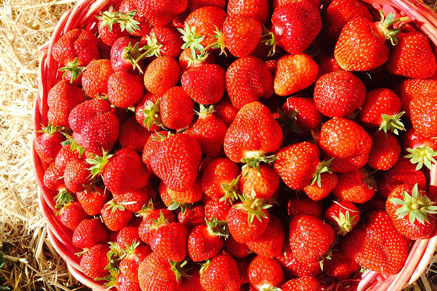 Cute red strawberries