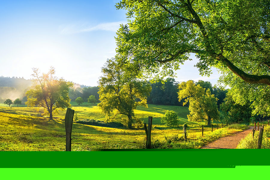 Rural landscape with path