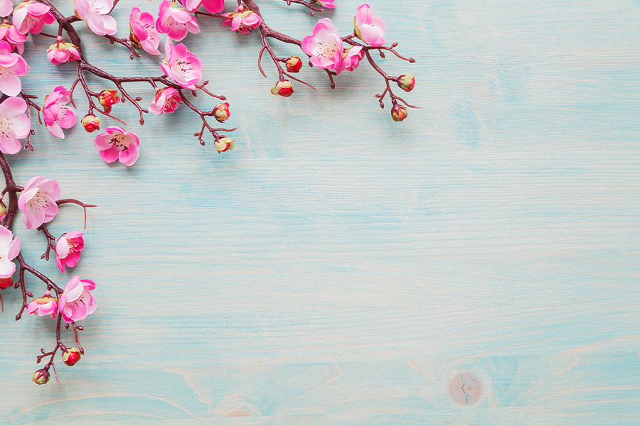 Spring background painted blue board