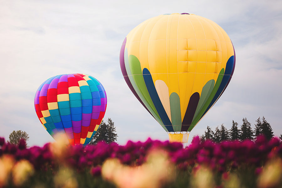 Two assorted color hot air balloon