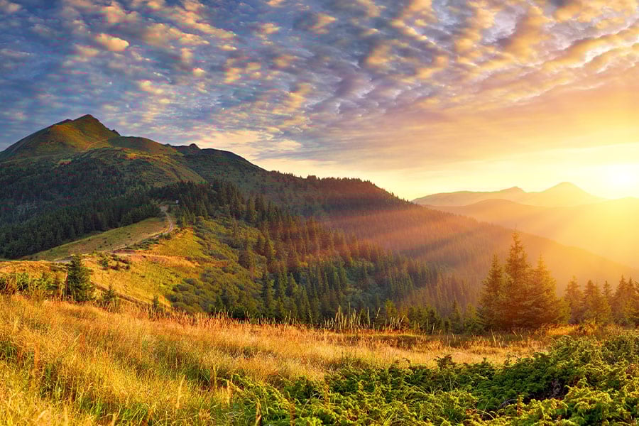 Freshness background