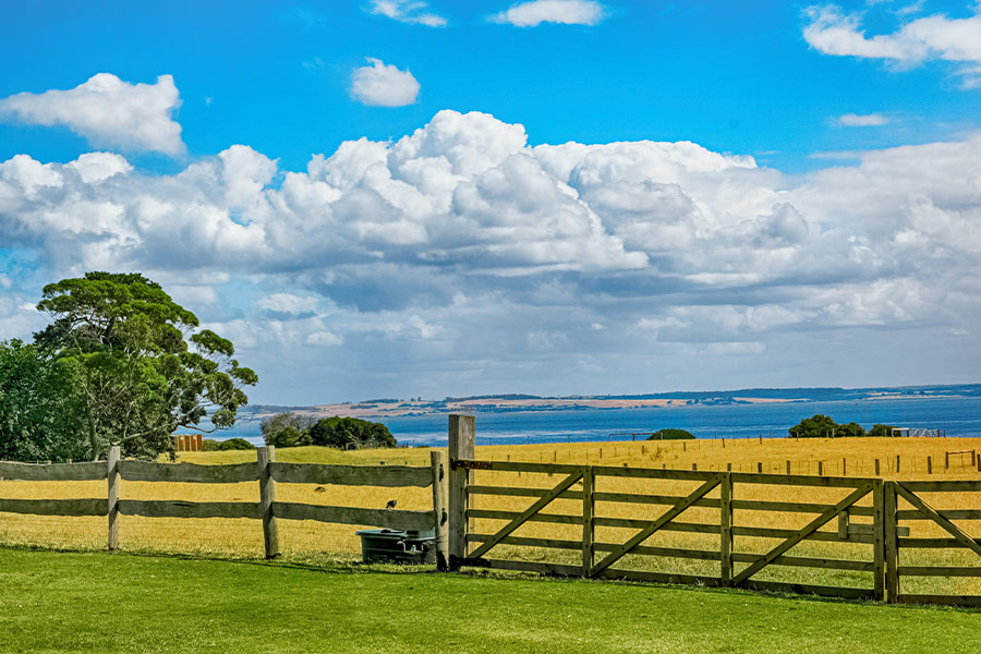 Brown wooden fence across crop field