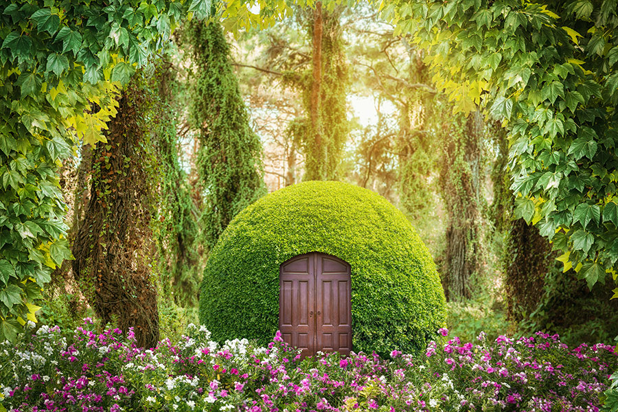 Magical fantasy world green mysterious forest