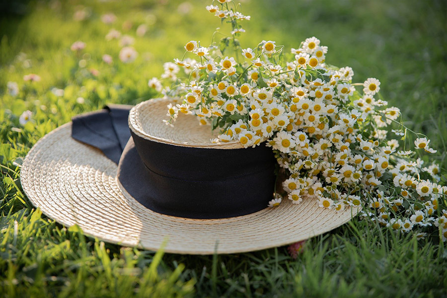 Fashion hat with chamomile flowers