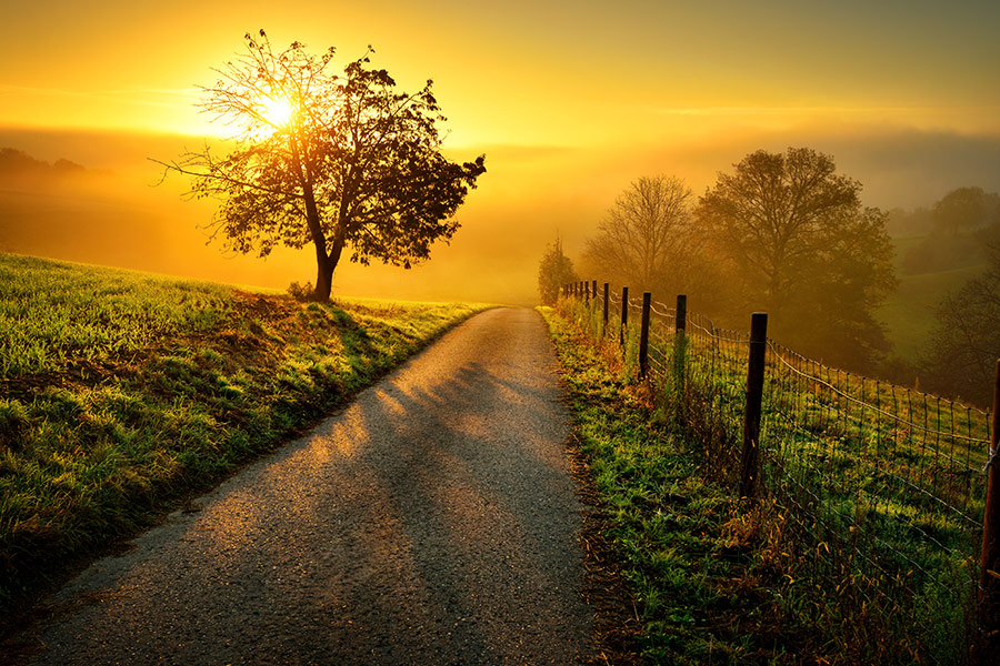 Idyllic rural landscape in golden light