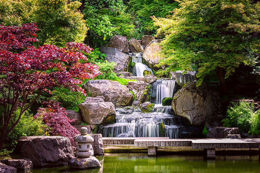 Waterfall long exposure with maple trees