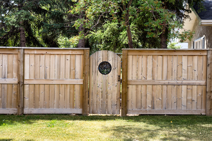 The back garden door