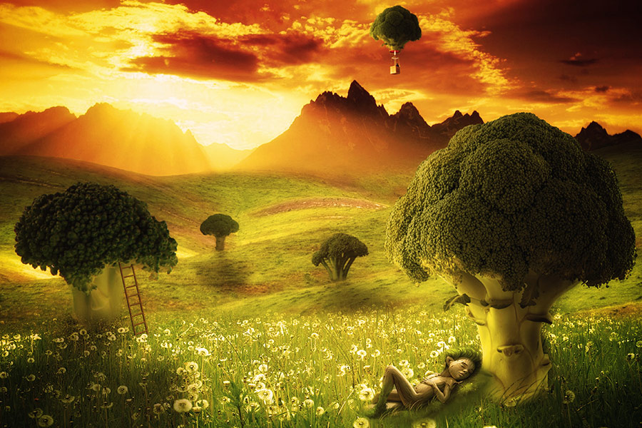Fantasy broccoli land with elf sleeping