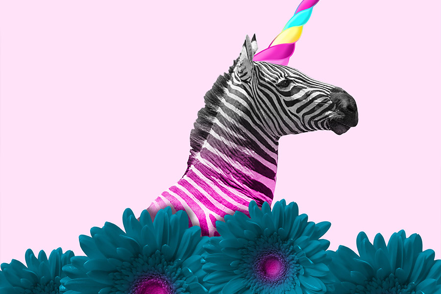 Alternative zebra like unicorn