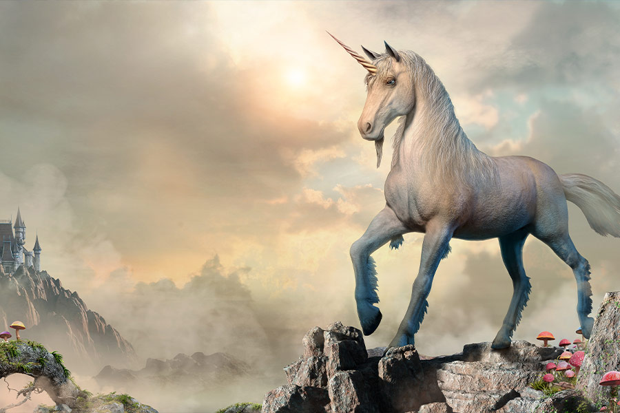 Unicorn fantasy illustration