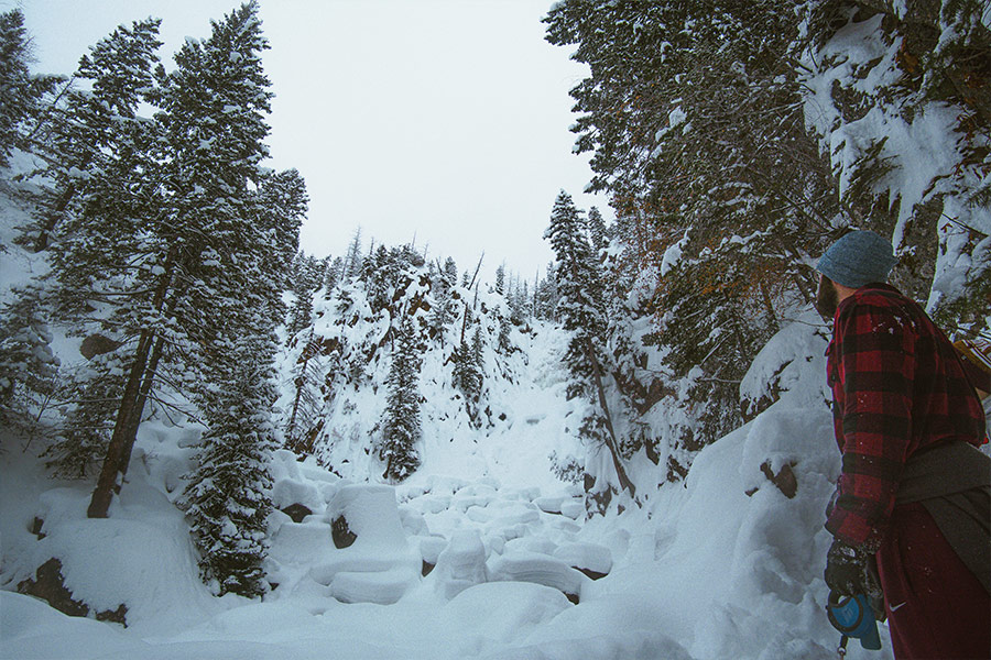 Man looking snow covered trees