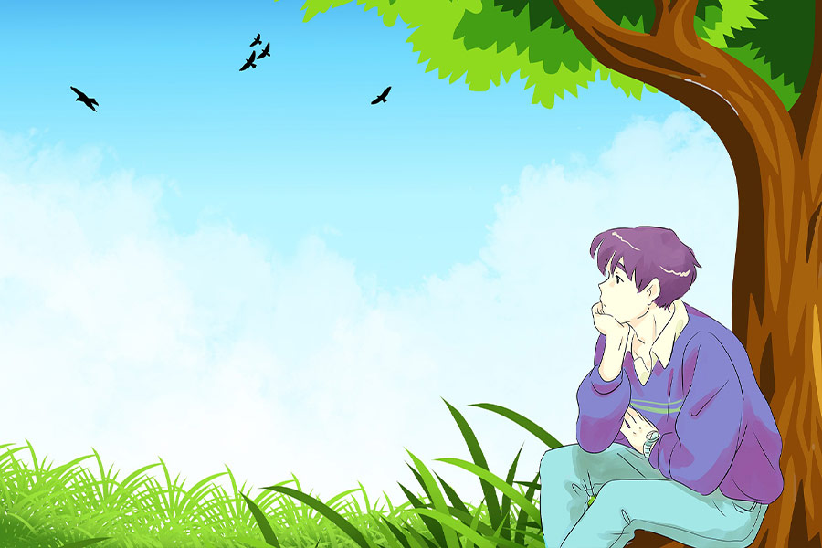 Young boy alone field meadow