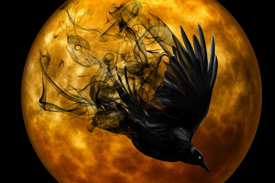 Gruesome darkness crow night
