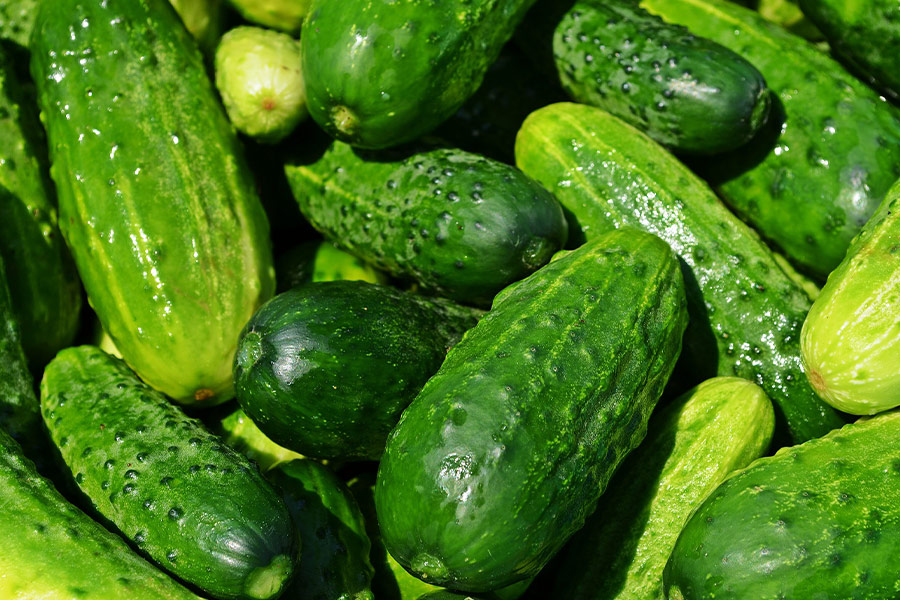 Cucumbers vegetables