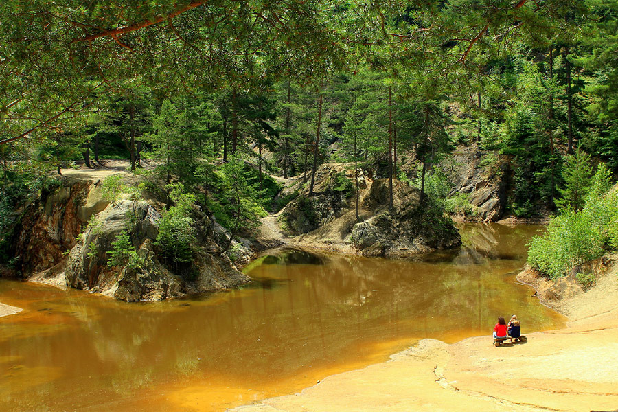Lake trees forest nature summer travel