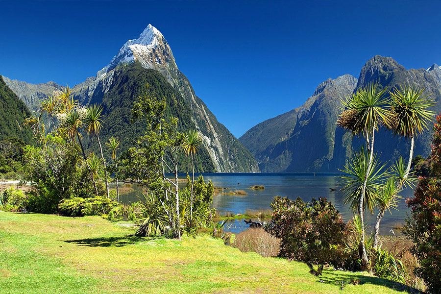 Milford sound