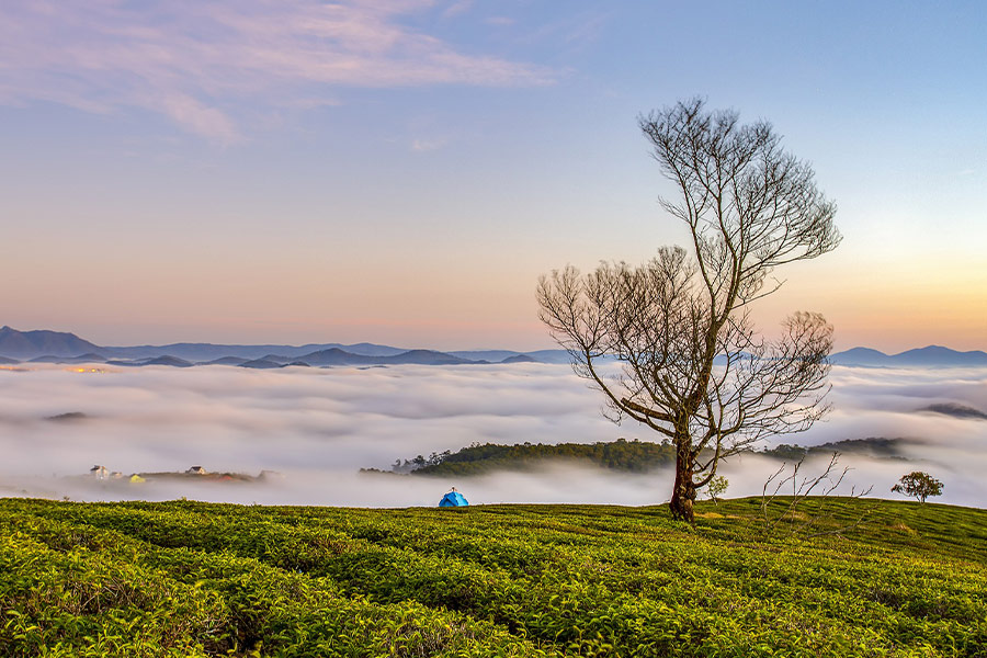Morning fog beautiful scenery