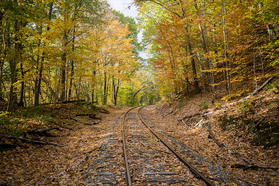 Fall leaves train tracks