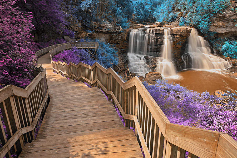 Gray stair down to black water falls