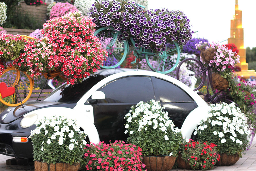 Dubai miracle garden