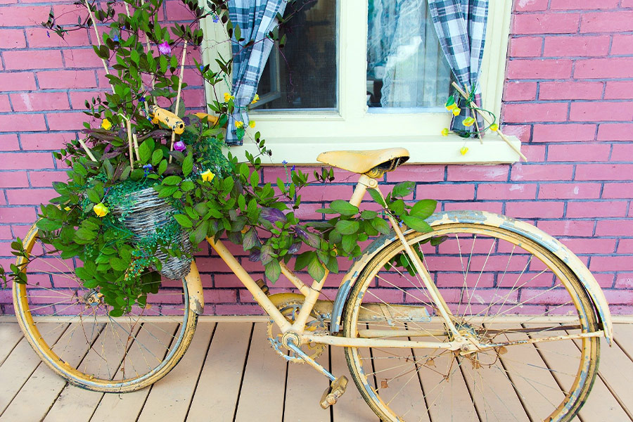 Bike decorated old planted green
