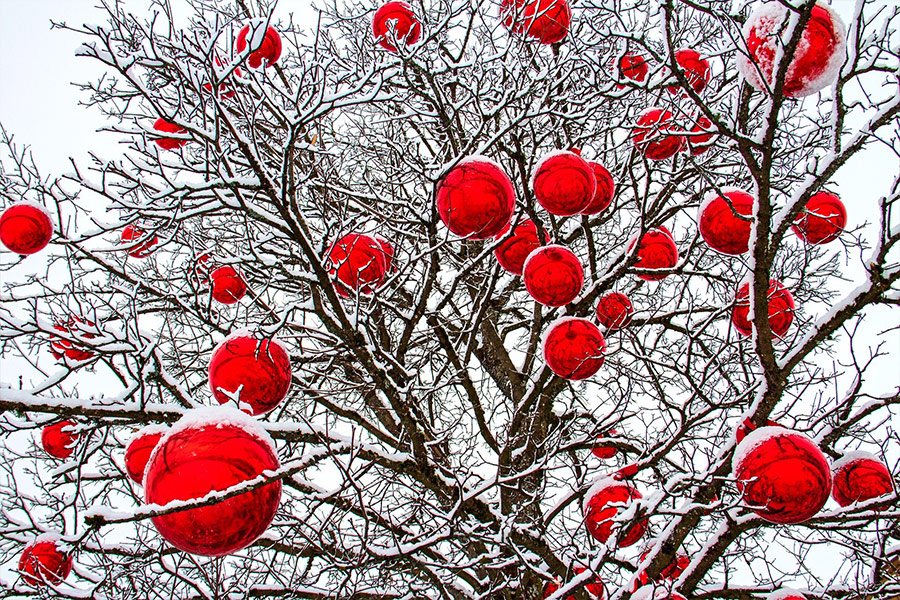 Christmas balls red tree winter