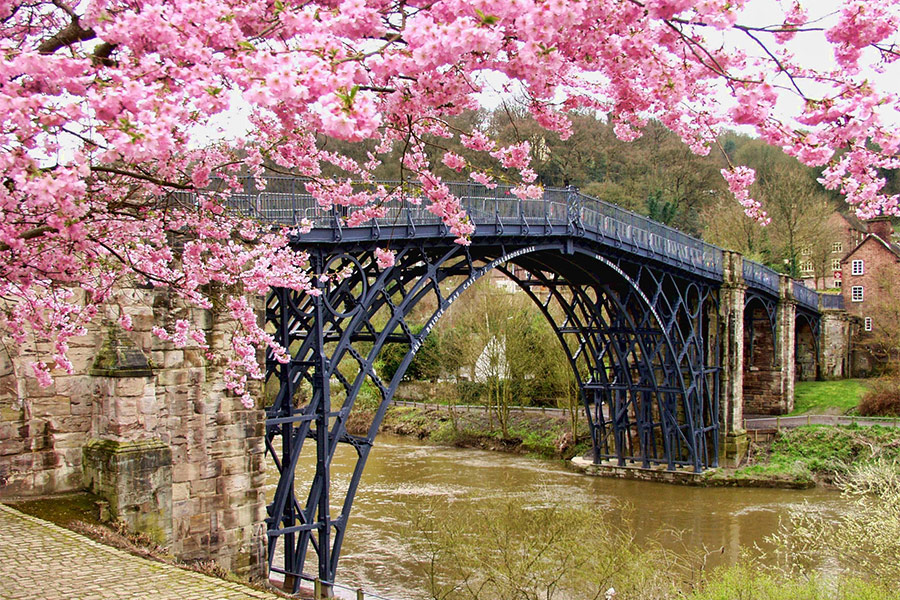 Bridge flowers water