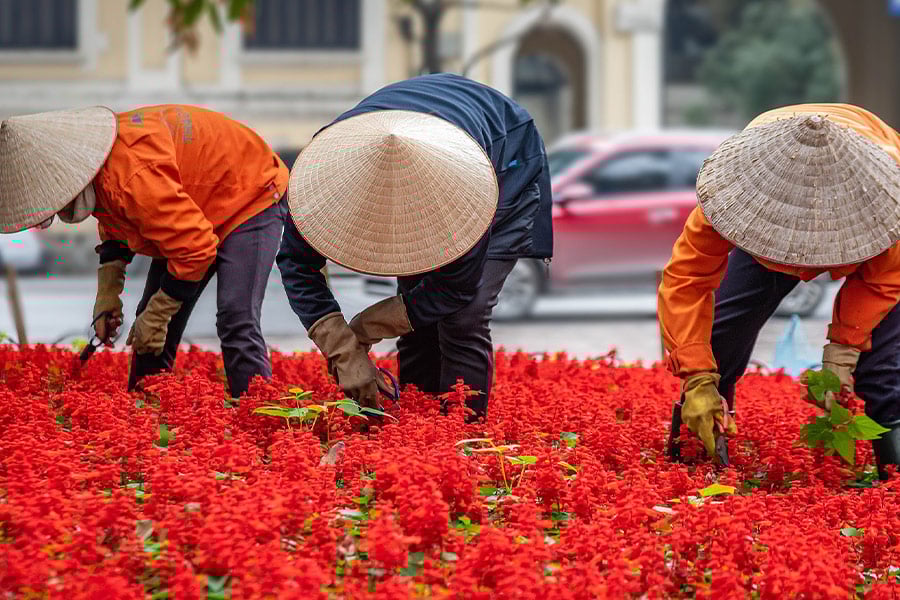 Workers people gardening Hanoi Vietnam