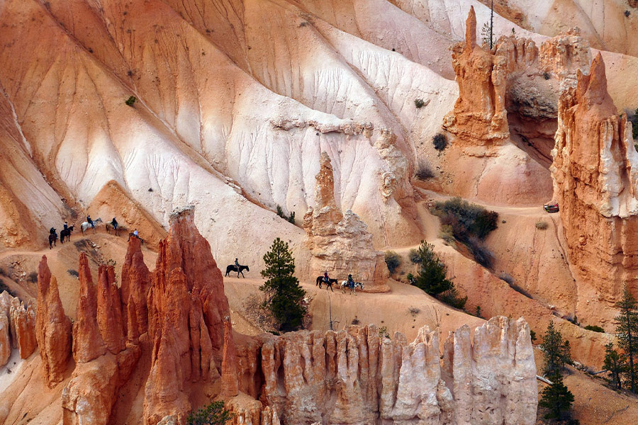 Landscape scenic horseback riding trail