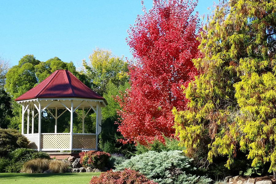 Scenery botanic park garden Australia