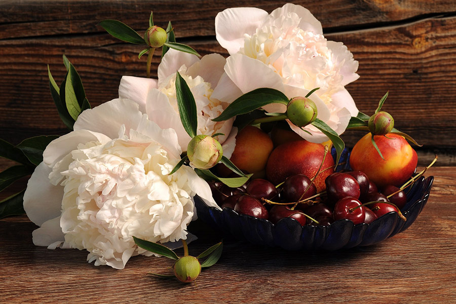 Peonies fruits