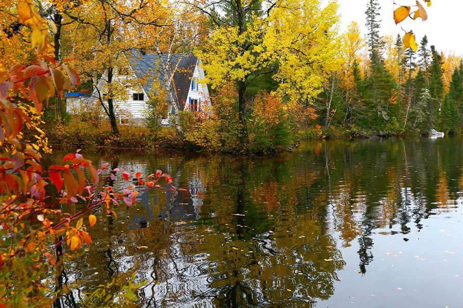 Nature fall landscape colors trees