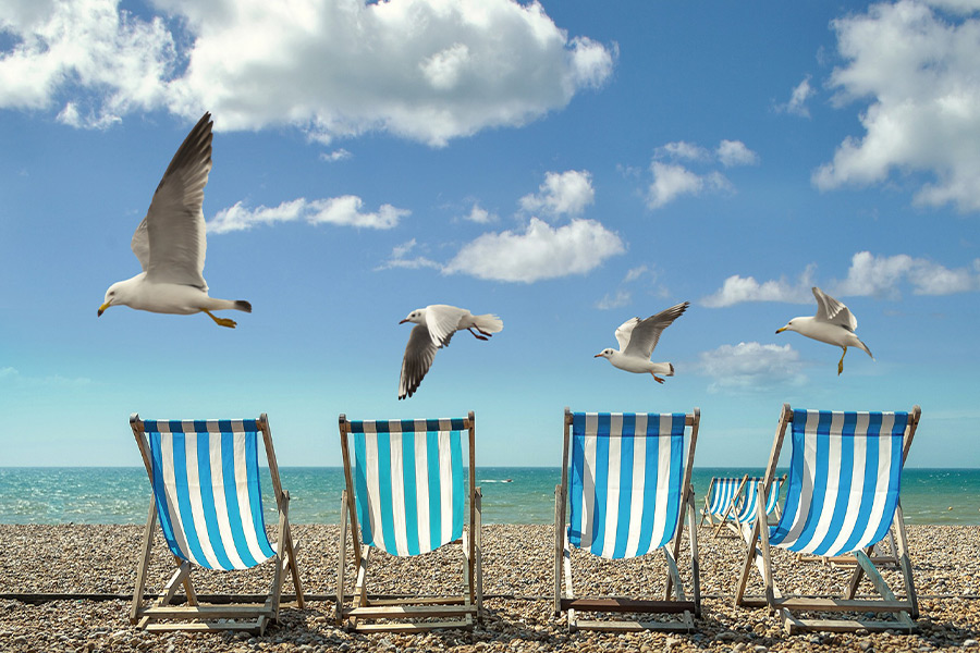 Summer beach chairs seagulls