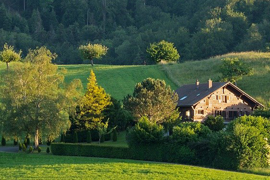 Evening sun view mood landscape