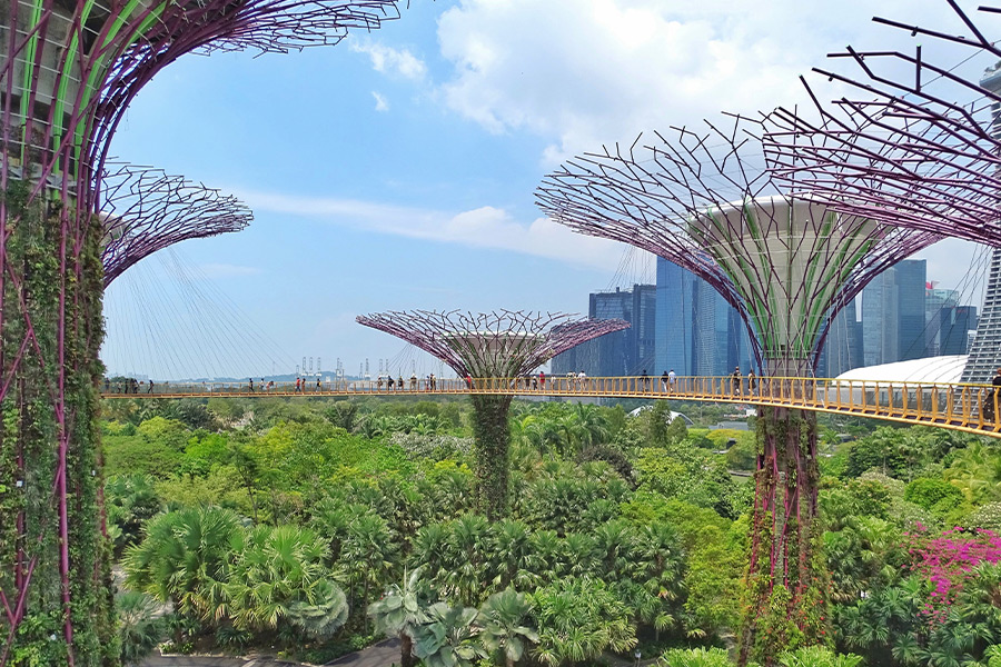 Nice garden Singapore bay