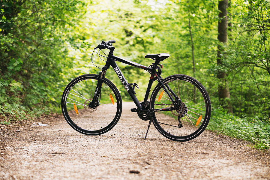 Sports bicycle forest path