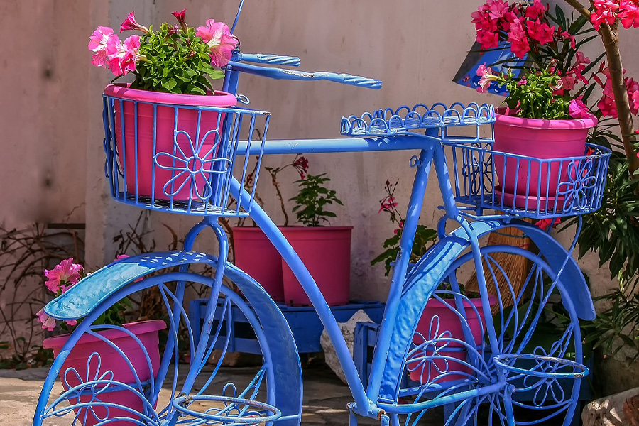 Flower basket bike