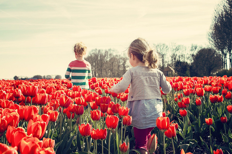 Children in tulips