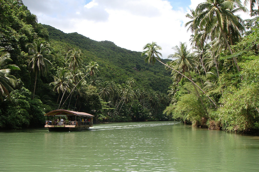 Rainforest Bohol Philippines