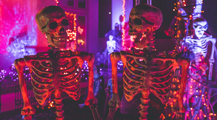 Two skeleton halloween