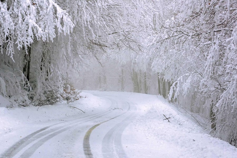 Snow covered road through forest