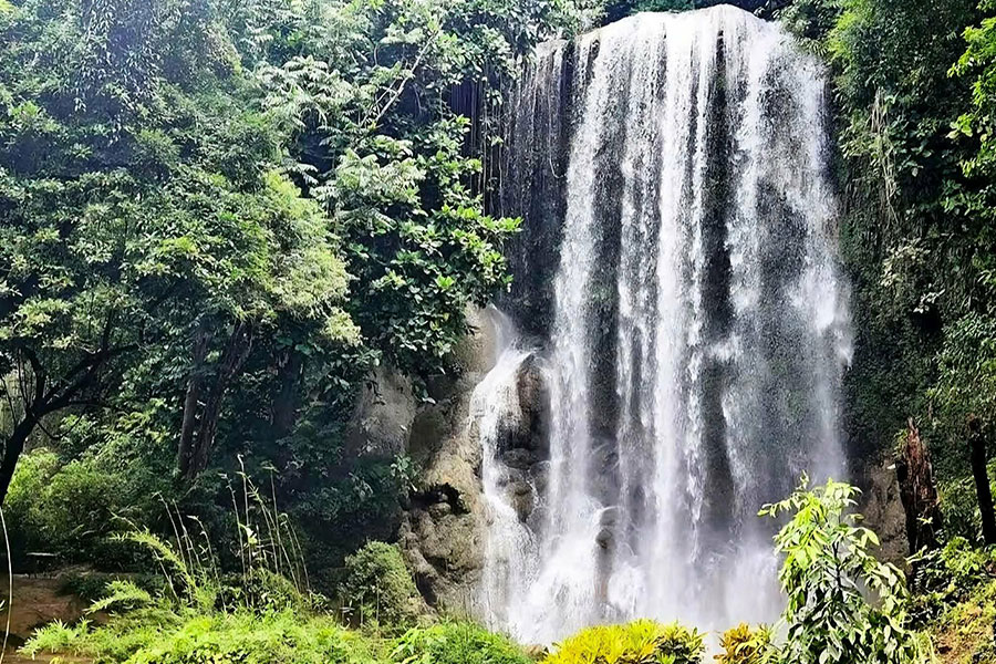 Natural retreat with scenic beauty