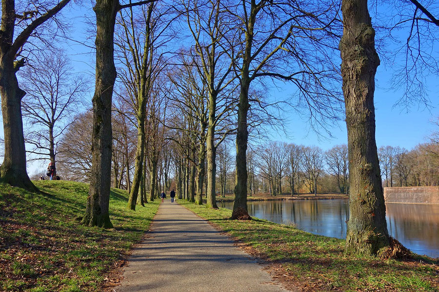 Paved walking path line with trees bare branches
