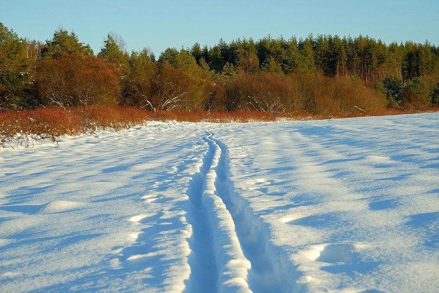 Well defined cross country ski tracks
